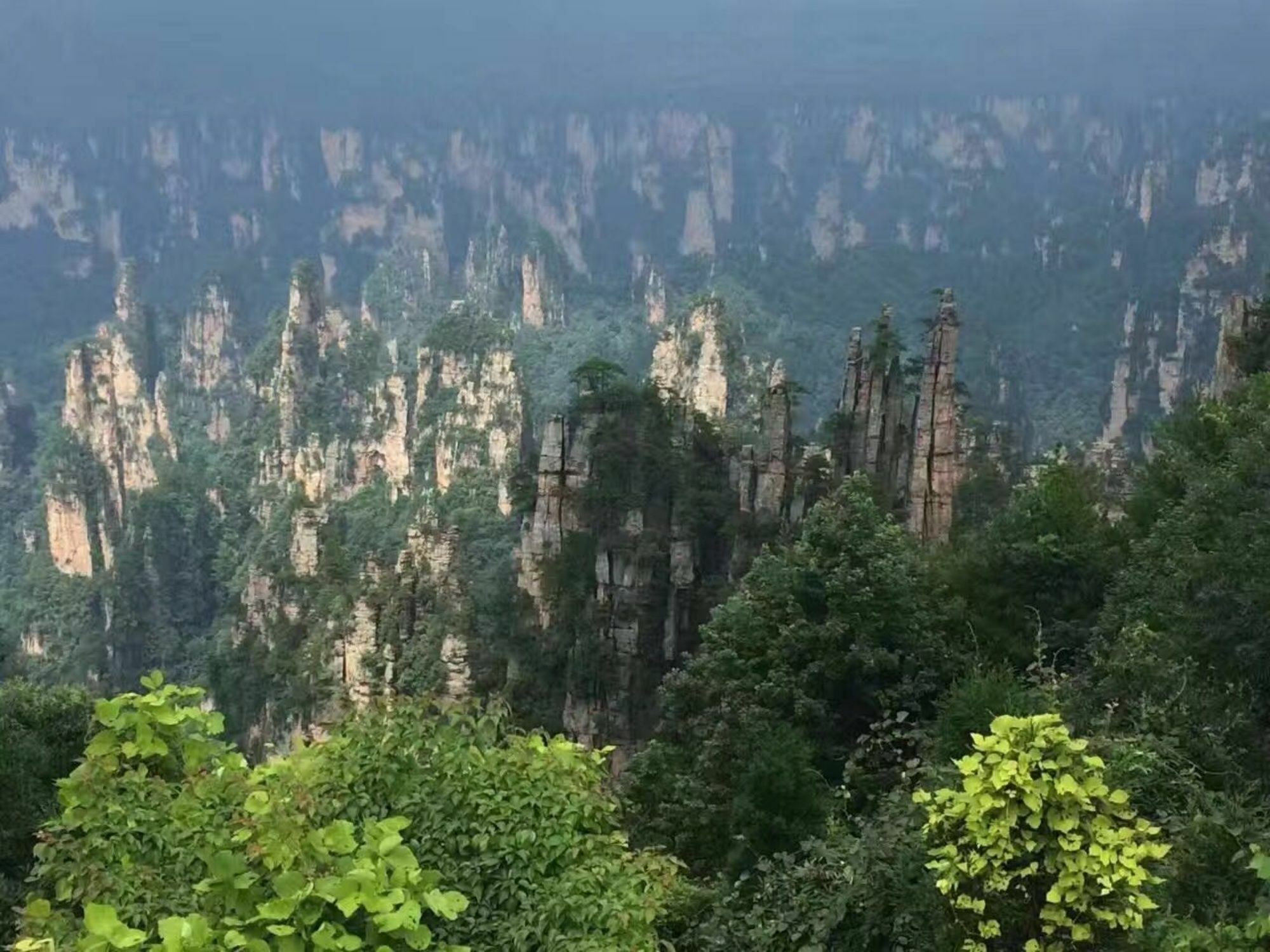 Zhangjiajie Yueranju Hostel Esterno foto